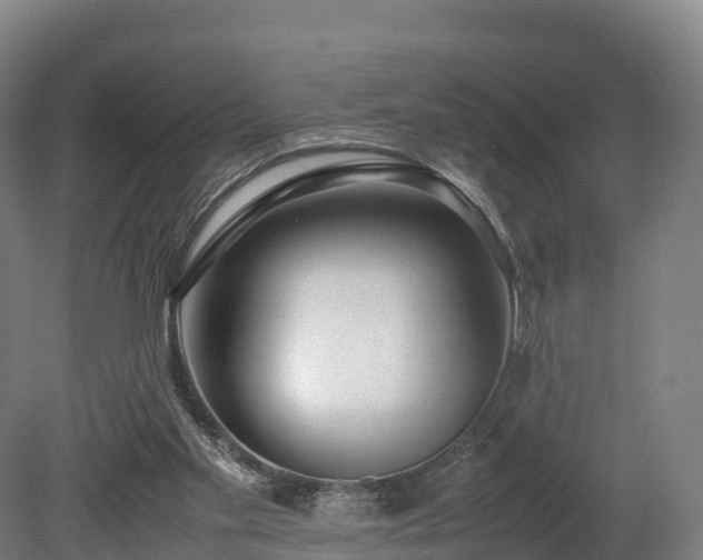 X0000080110109200612151657