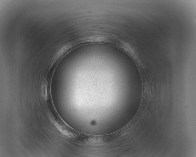 X0000080110110200612151657