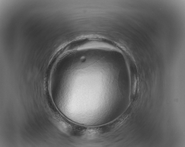 X0000080110111200612151657