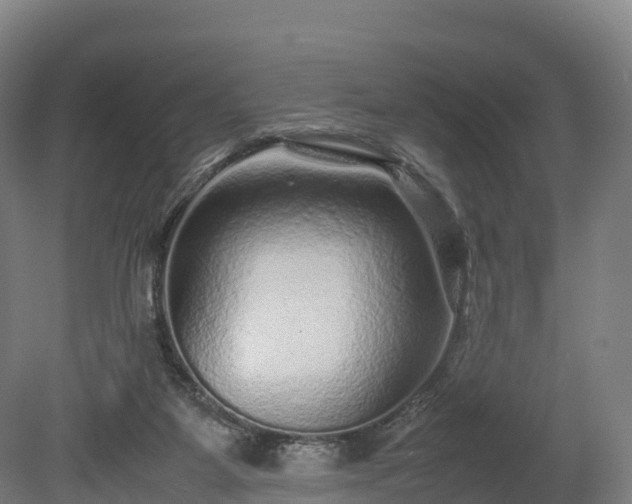 X0000080110115200612151657