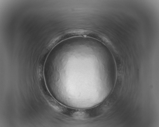 X0000080110119200612151657