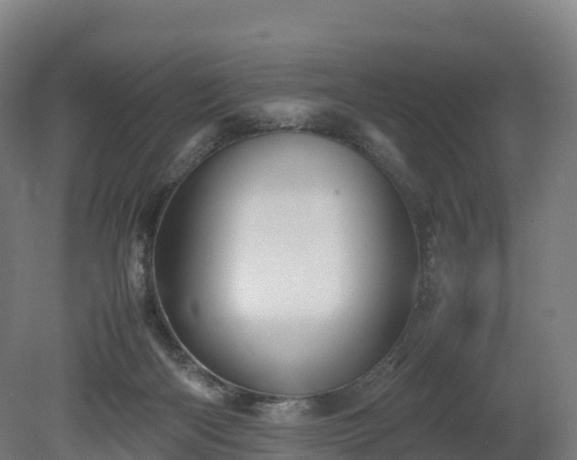 X0000080110122200612151657