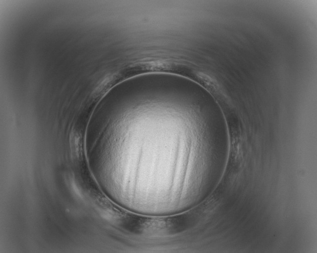 X0000080110123200612151657