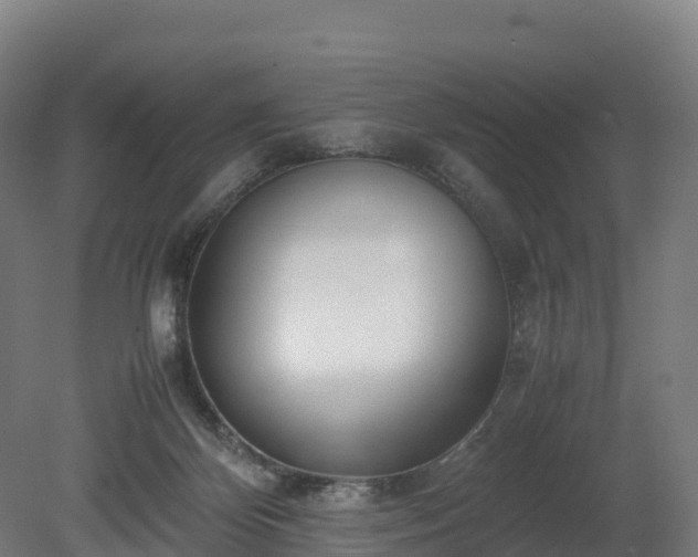 X0000080110124200612151657