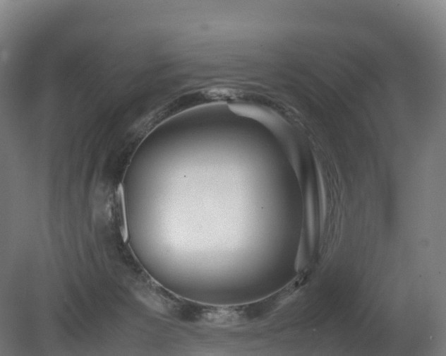 X0000080110125200612151657