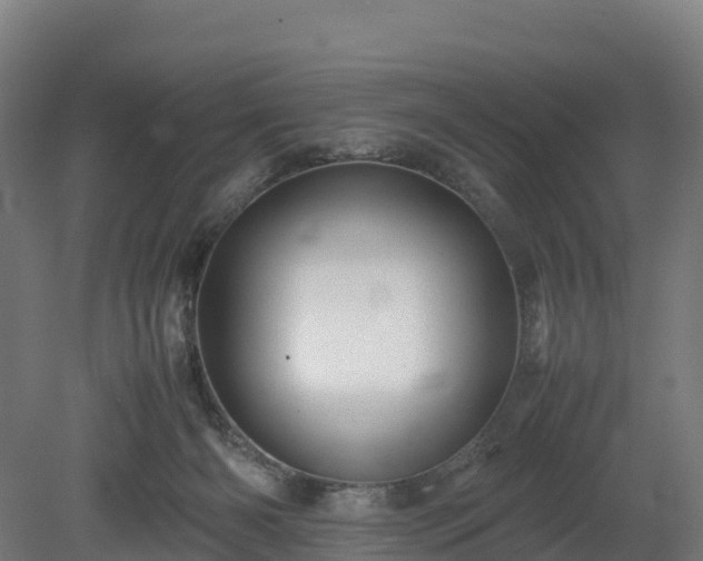 X0000080110126200612151657