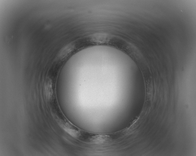 X0000080110128200612151656