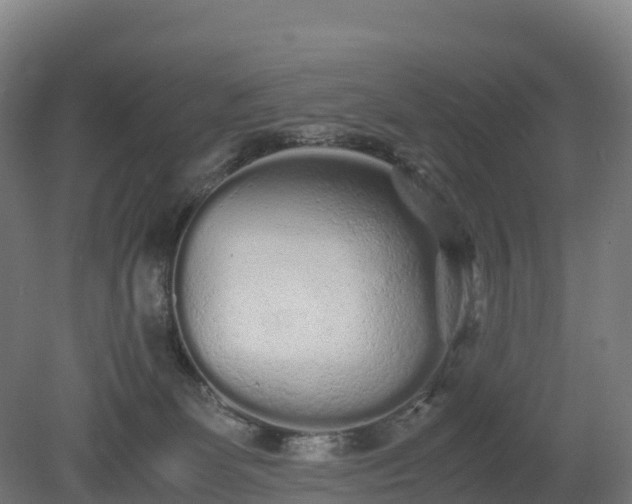 X0000080110131200612151656