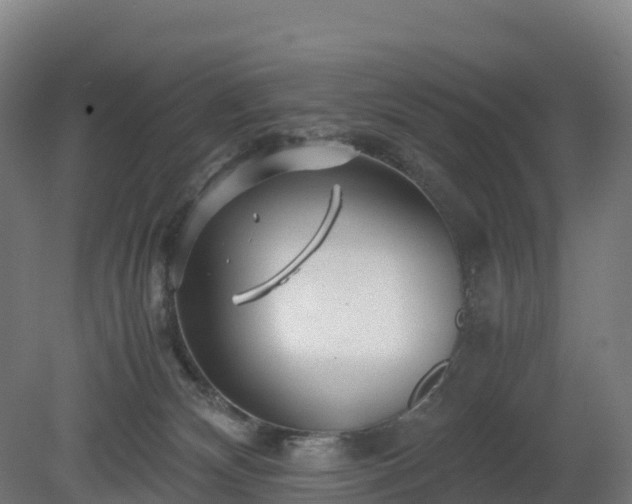 X0000080110132200612151656