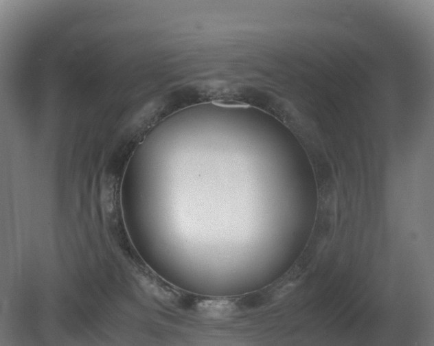 X0000080110133200612151656