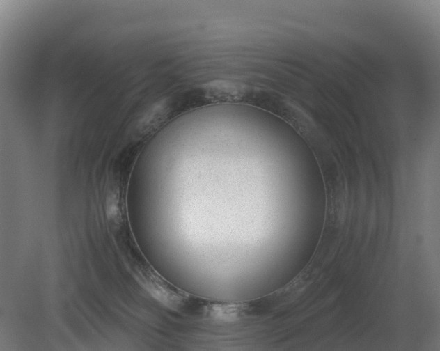 X0000080110134200612151656
