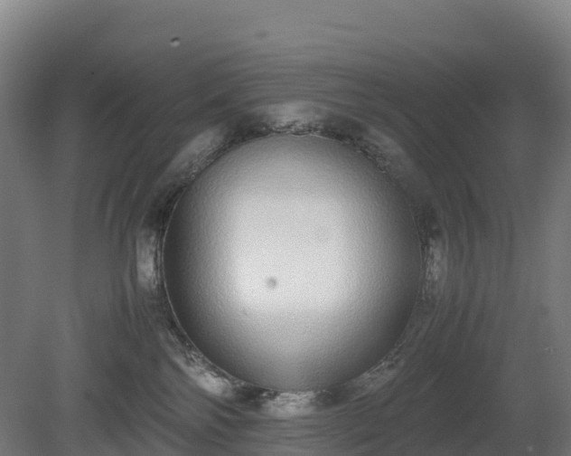 X0000080110138200612151656
