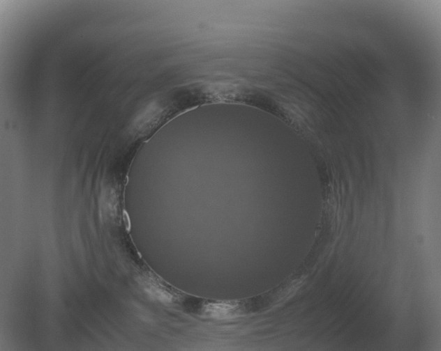 X0000080110139200612151656