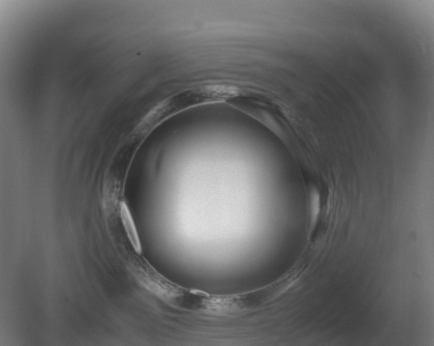 X0000080110141200612151656