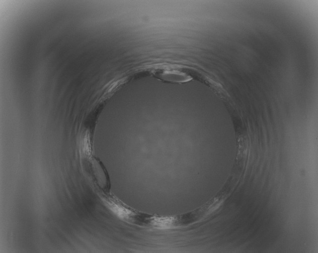 X0000080110143200612151656
