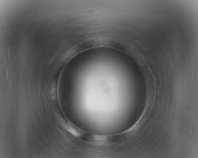 X0000080110144200612151656