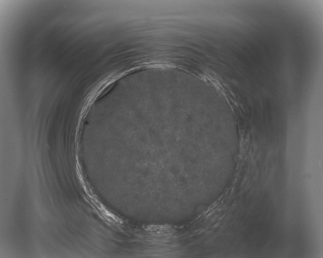 X0000080110145200612151655