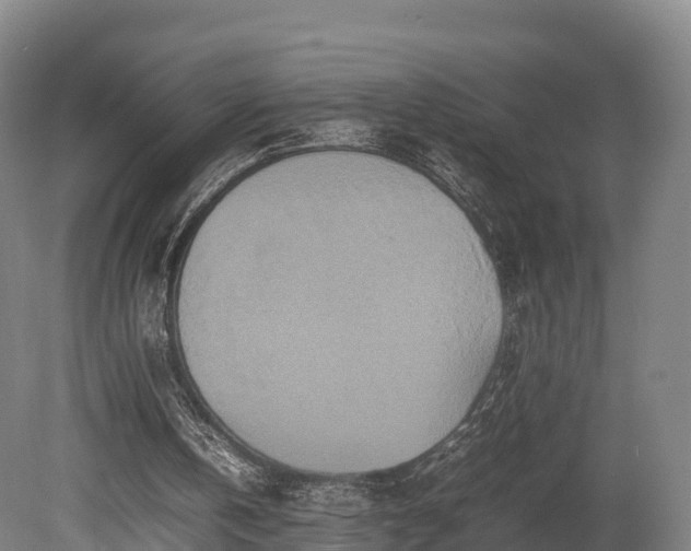 X0000080110146200612151655