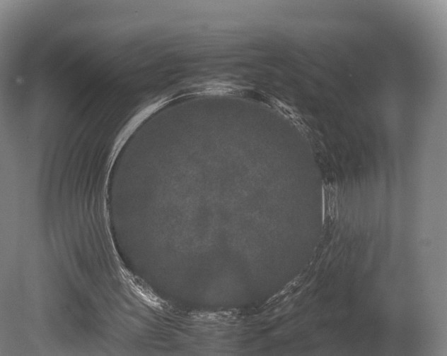X0000080110147200612151655