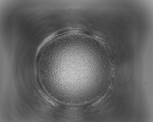 X0000080110149200612151655