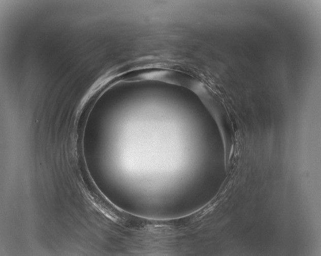 X0000080110150200612151655