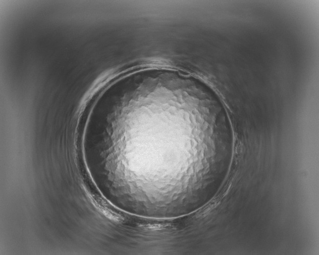 X0000080110151200612151656