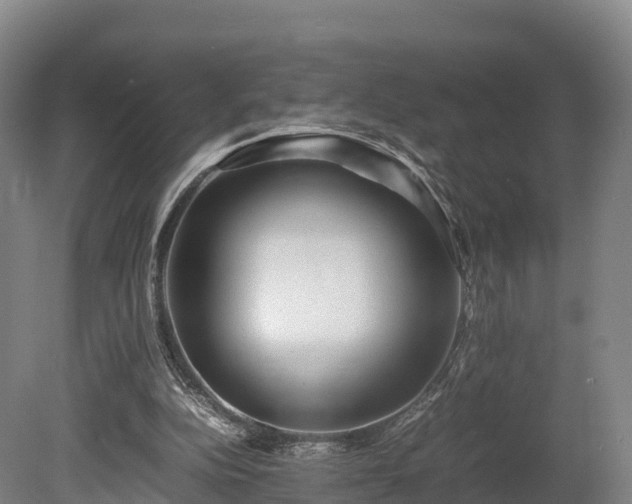 X0000080110152200612151656