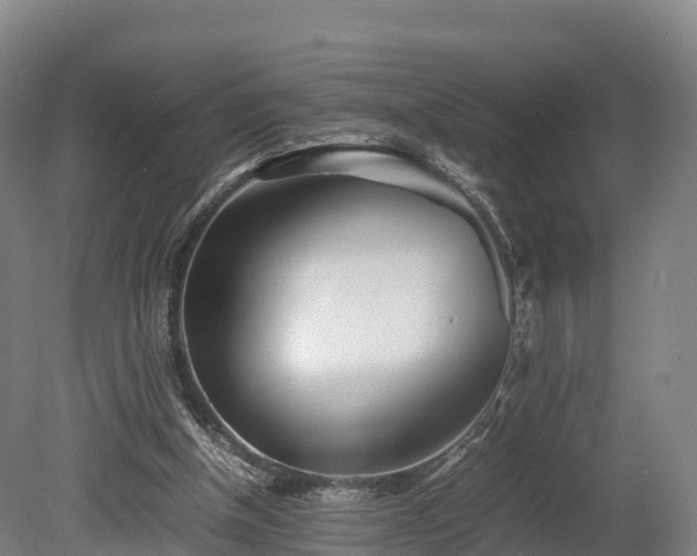 X0000080110154200612151656
