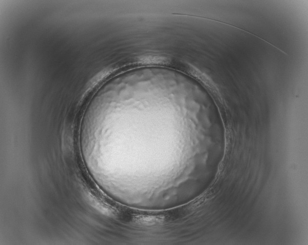 X0000080110155200612151656
