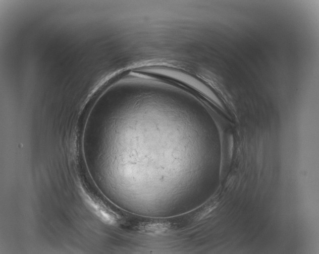 X0000080110156200612151656