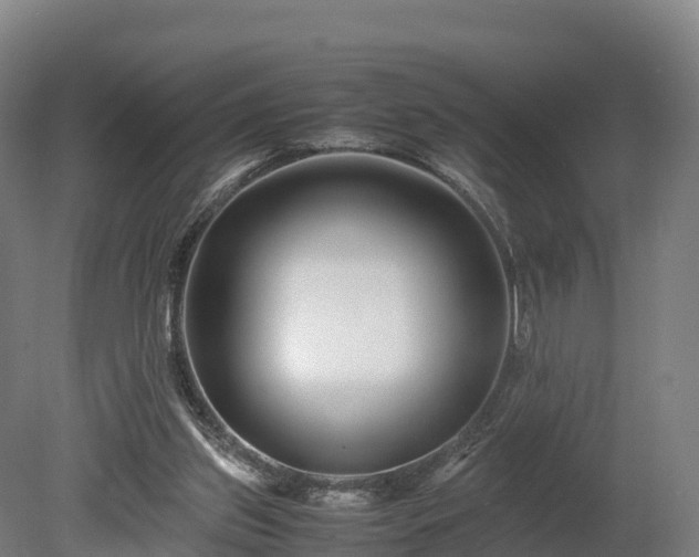 X0000080110157200612151656