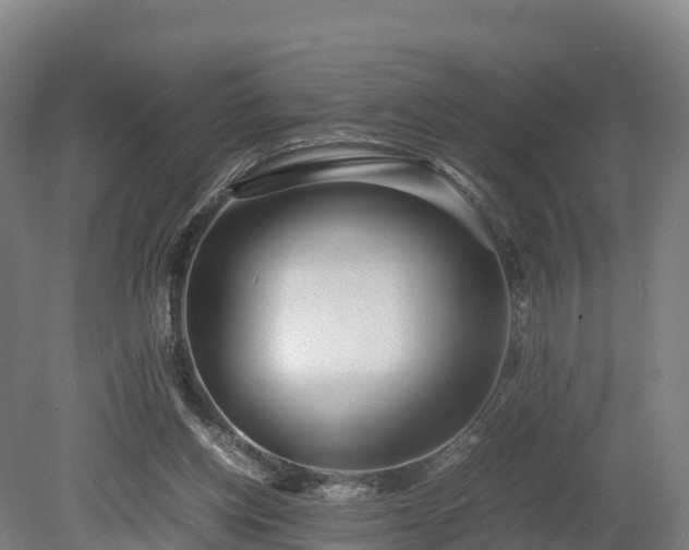 X0000080110158200612151656