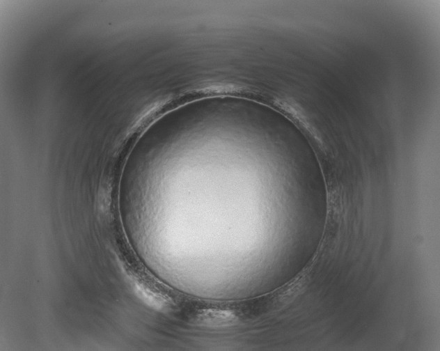 X0000080110159200612151656