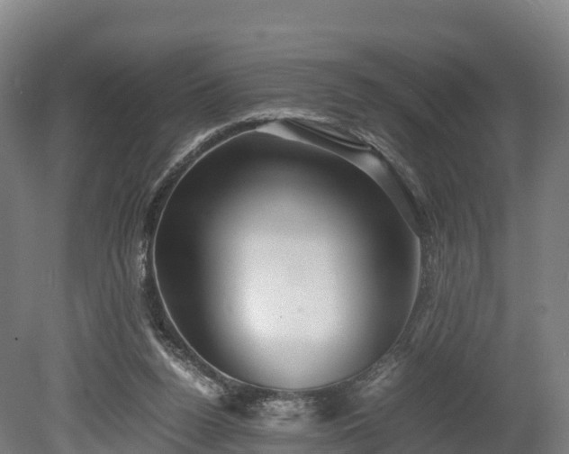 X0000080110160200612151656