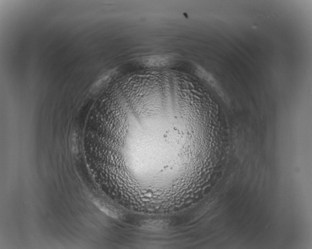 X0000080110161200612151656