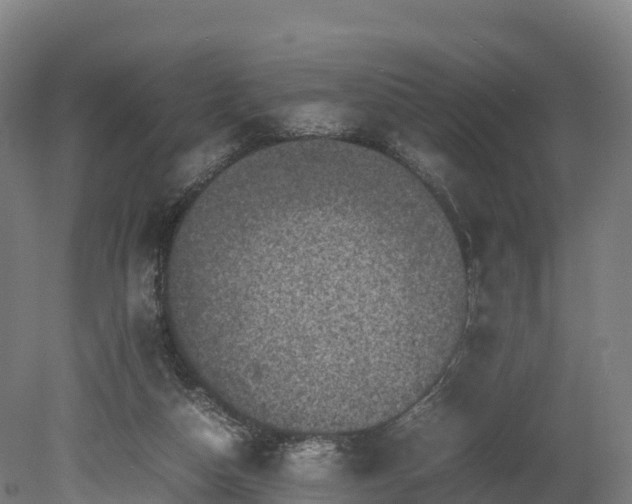 X0000080110162200612151656