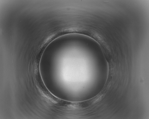 X0000080110164200612151656
