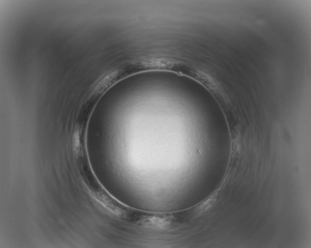 X0000080110166200612151656