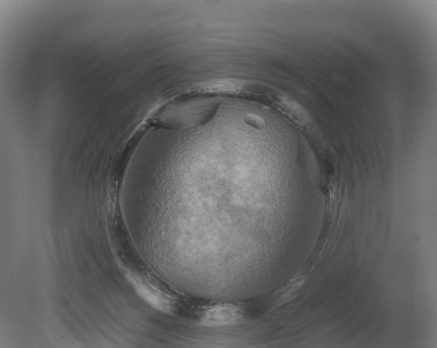 X0000080110168200612151656