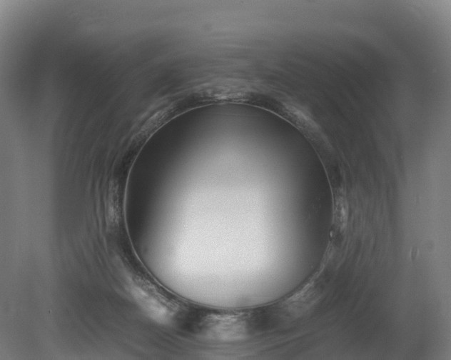 X0000080110170200612151656