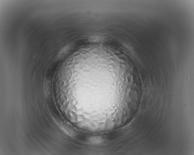 X0000080110171200612151656