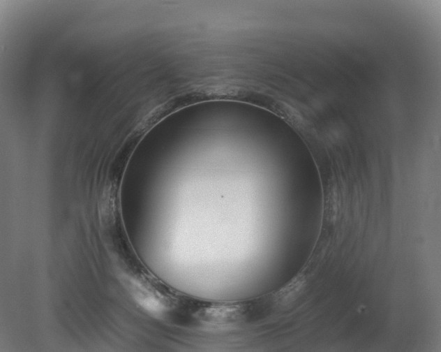 X0000080110172200612151656