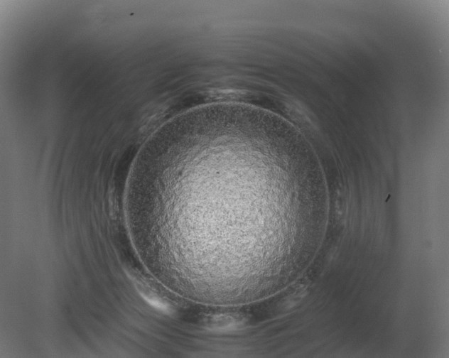 X0000080110173200612151656