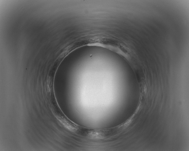 X0000080110174200612151656