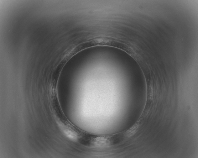 X0000080110176200612151656