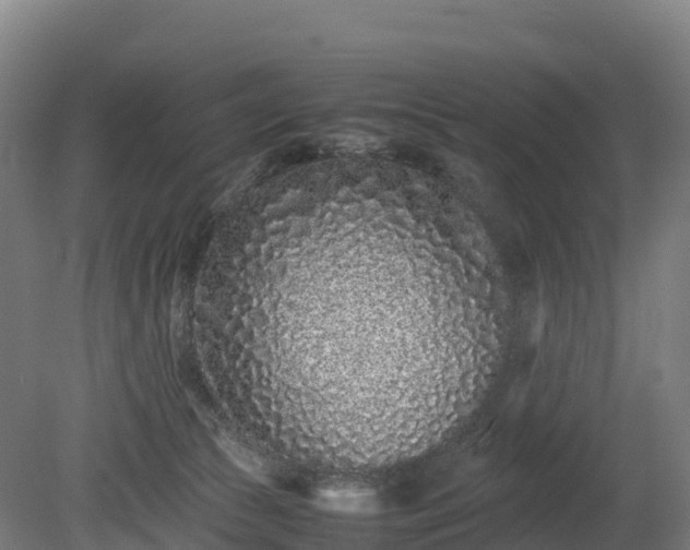 X0000080110177200612151656