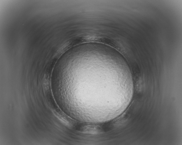 X0000080110179200612151656