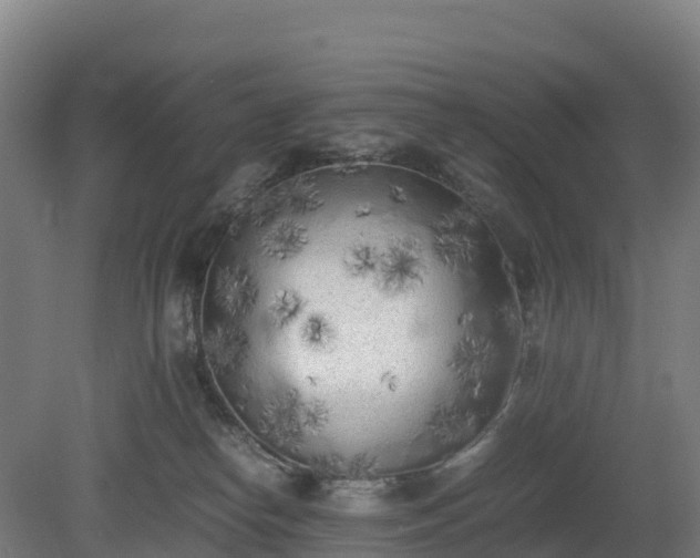 X0000080110182200612151656