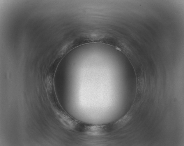 X0000080110184200612151656