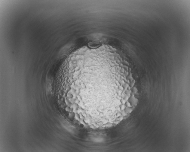 X0000080110185200612151656